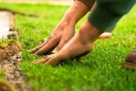 Landscaping