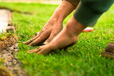 Landscaping
